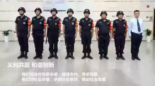 保安阵容图片插图1
