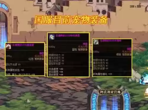dnf宠物捡装备吗插图1