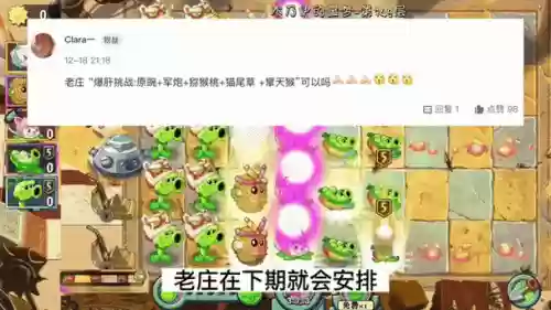 炮猫阵容插图