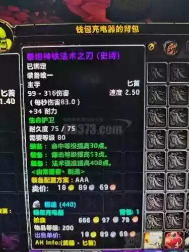 盗贼的装备插图