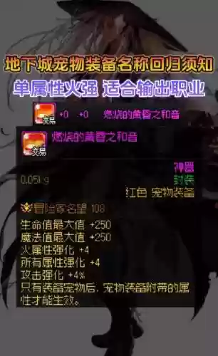 dnf宠物捡装备吗插图