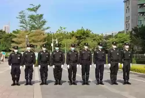 保安阵容图片插图