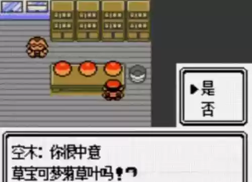 口袋妖怪-暗黑银攻略图插图