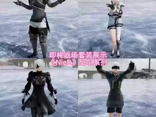 尼尔遗失的装备会没吗插图