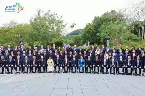 公司好友阵容插图1