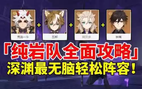 纯岩阵容插图