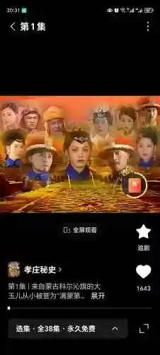 真孝庄阵容插图1