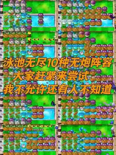 全民大战僵尸阵容搭配攻略插图1