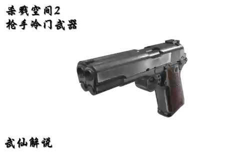 杀戮空间2枪手武器插图