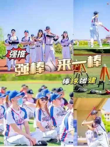 棒球游戏阵容插图