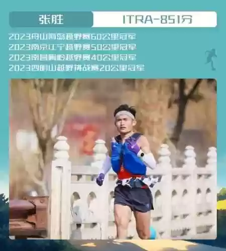 跑山阵容