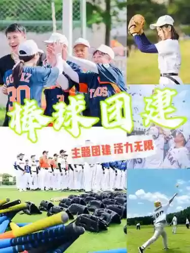 棒球游戏阵容插图1