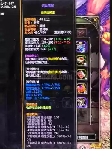 龙之谷土豪装备图片大全插图