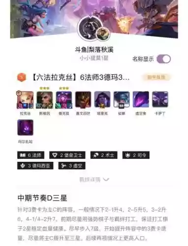 云顶阵容软件