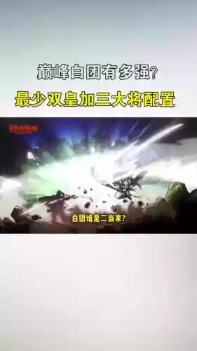 白团阵容搭配插图1