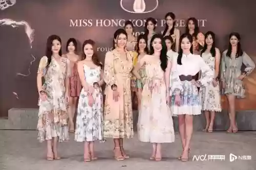 选嘉阵容插图1