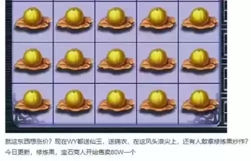 梦幻西游手游69修炼果插图1