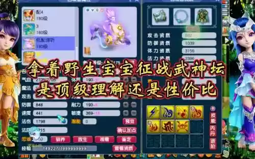 梦幻西游2武神坛宝宝配置插图