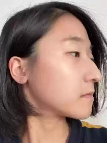 鹰钩鼻阵容插图