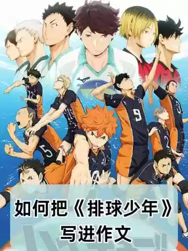 排球故事阵容插图1