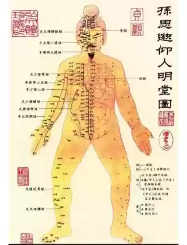 孙思邈阵容搭配插图