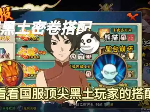 黑土搭配阵容插图1