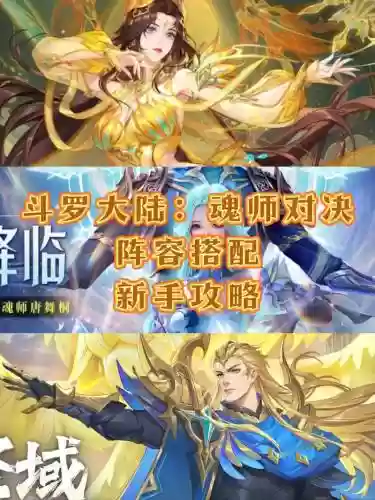 斗罗大陆小说决战阵容搭配插图