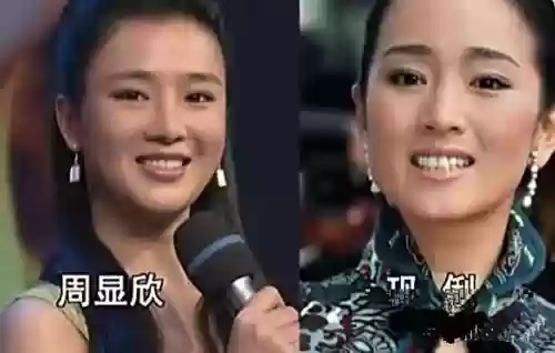 巩俐替身阵容插图1