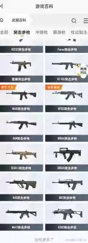 和平精英里面的武器大全插图