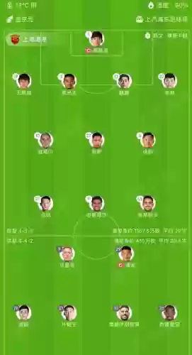 鲁能海港阵容插图