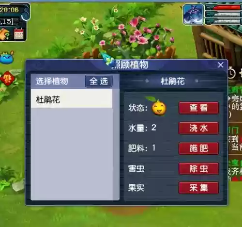 梦幻西游新区养花
