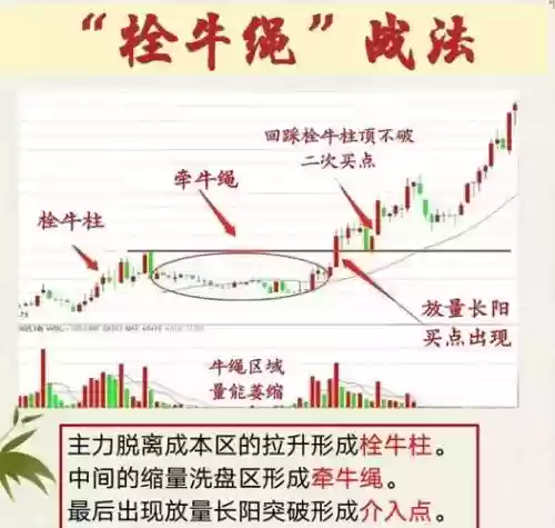 牛股阵容插图1
