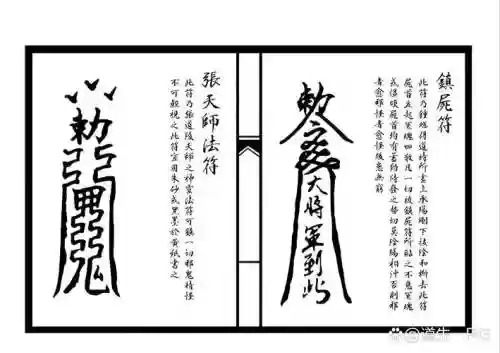 10技能灵符插图1