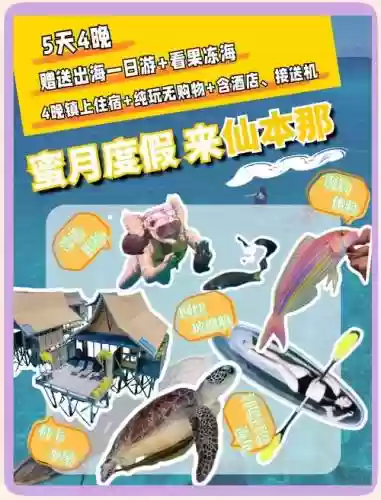 蜜月地攻略插图1