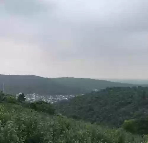 梦幻西游碧螺春原产地在哪里插图1