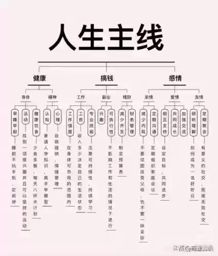 人生新手阵容插图1