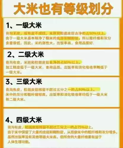 大米最强阵容插图1