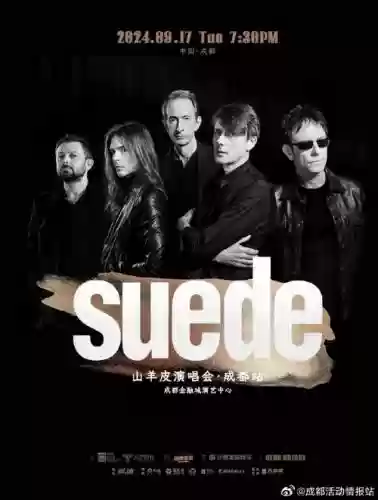 suede重组阵容插图
