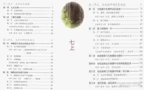 生命的装备目录插图