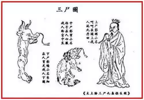 三尸阵容插图
