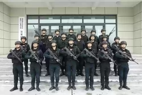 特警超强阵容插图