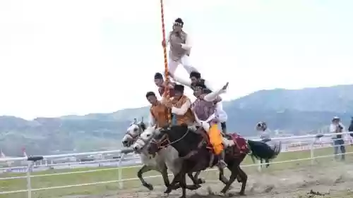 扎马阵容插图