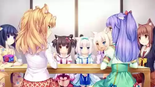 少女猫阵容插图1