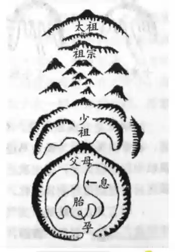 山宗阵容插图