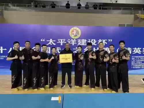 武术冠军阵容插图1