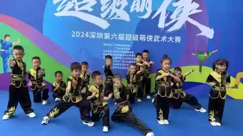 武术冠军阵容插图