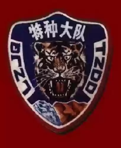 老虎阵容支柱