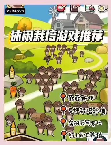 种蘑菇阵容插图