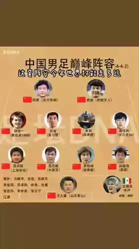 国内豪华阵容插图