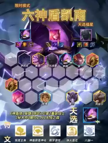 阵容神盾插图